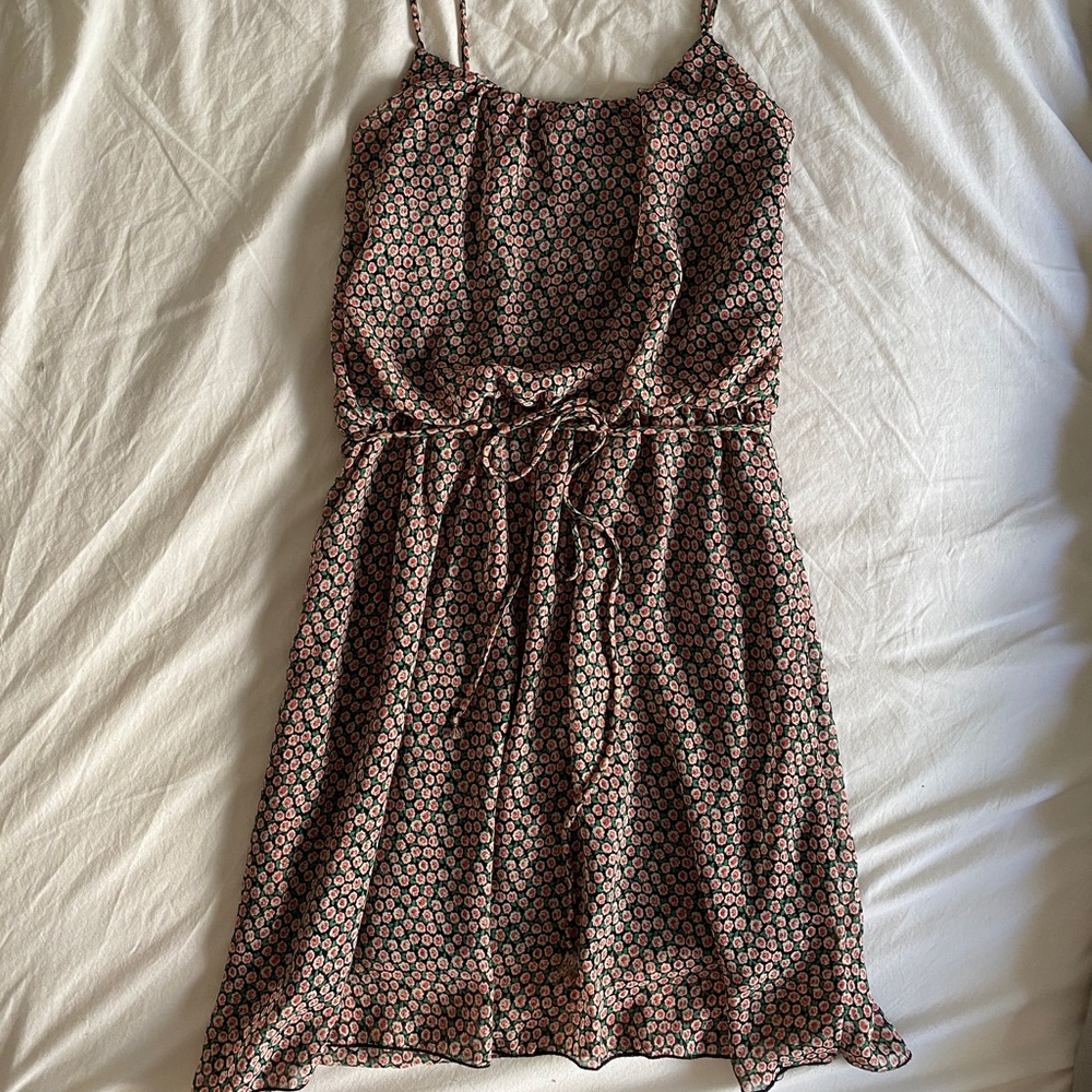 Rose Print Dress Final Touch
